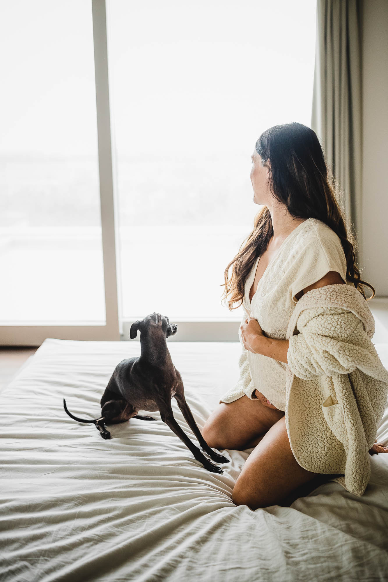 Export x3 1DX26356 Fotoshooting 2020 Zito